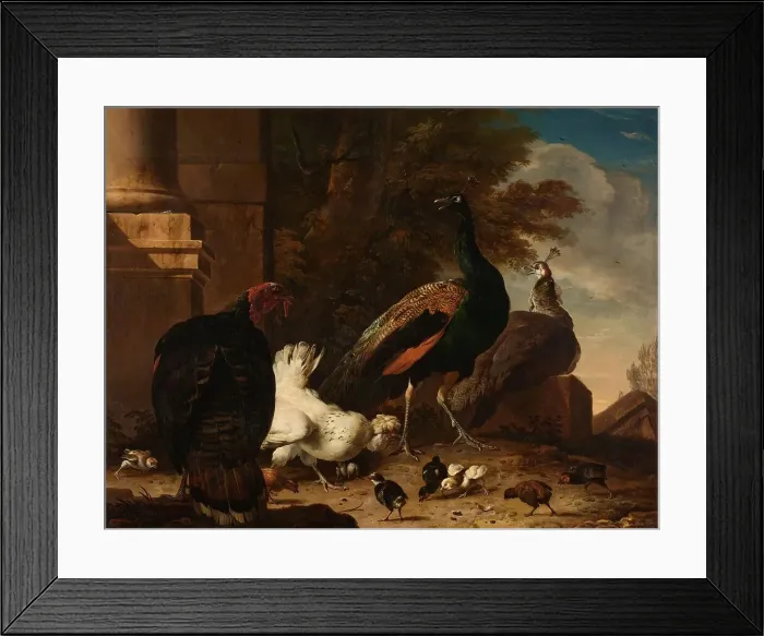 Framed Print : A Hen with Peacocks and a Turkey, c.1680. Creator: Melchior d'Hondecoeter Framed Print : A Hen with Peacocks and a Turkey, c.1680. Creator: Melchior d'Hondecoeter