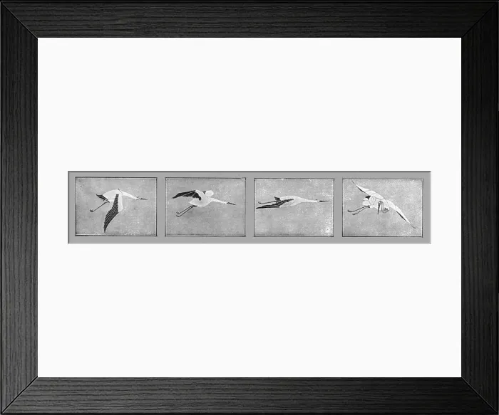 Framed Print : Un Vaillant; Les insignes des quatre escadrilles de chasse formant le groupe des Cigognes, 1915. Creator: Unknown Framed Print : Un Vaillant; Les insignes des quatre escadrilles de chasse formant le groupe des Cigognes, 1915. Creator: Unknown