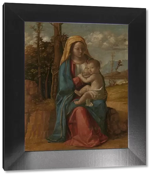 Madonna and Child, 1512-1517. Creator: Giovanni Battista Cima da Conegliano