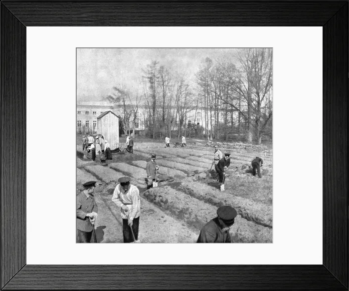 Framed Print : Les Romanof a Tsarskoie-Selo; Au mois de mai 1917, le deuxieme de son internement... 1917. Creator: Unknown Framed Print : Les Romanof a Tsarskoie-Selo; Au mois de mai 1917, le deuxieme de son internement... 1917. Creator: Unknown