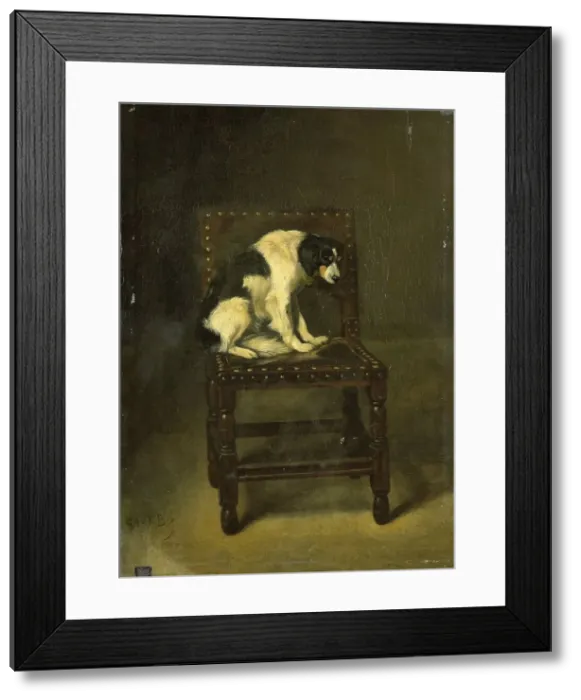 Framed Print : A Dog on a Chair, 1860-1891. Creator: Guillaume Anne van der Brugghen Framed Print : A Dog on a Chair, 1860-1891. Creator: Guillaume Anne van der Brugghen
