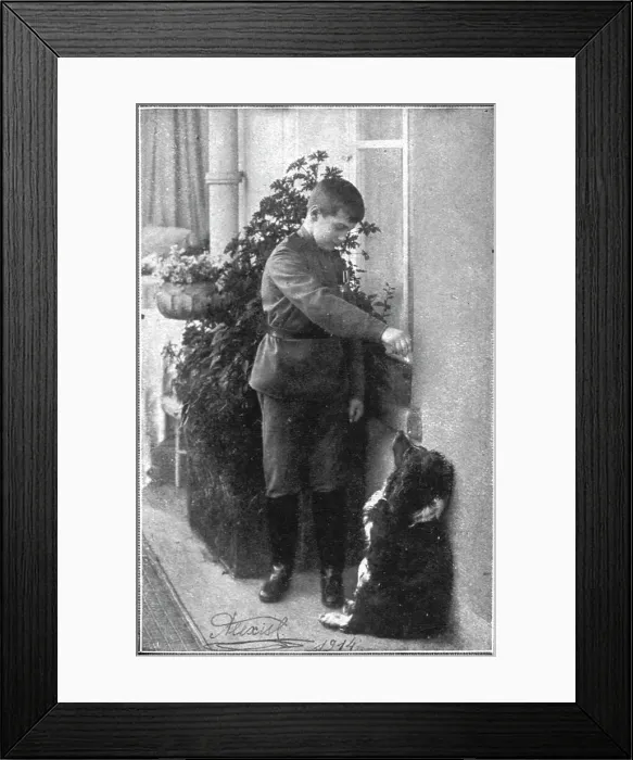Framed Print : Les derniers jours des Romanof; Le tsarevitch, 1914. Creator: Unknown