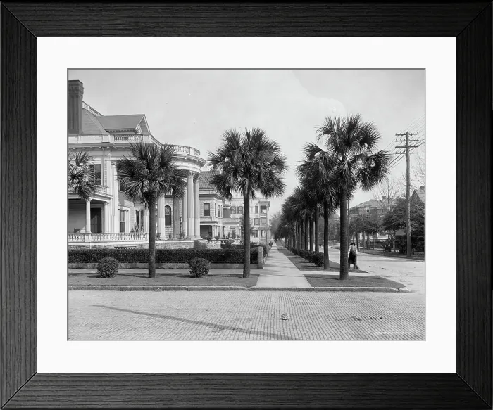 Framed Print : Residences, corner [of] Laura and Ashley Sts. Jacksonville, Fla. between 1900 and 1920. Creator: Unknown