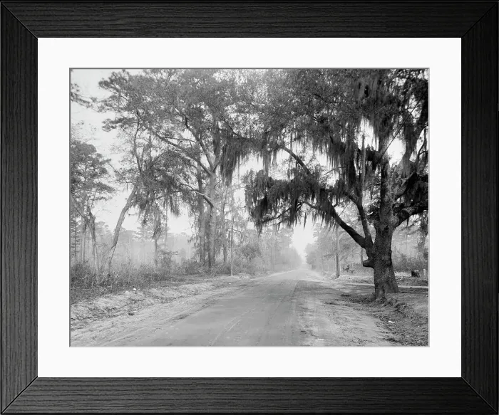 Framed Print : Auto course, Savannah, Ga. between 1900 and 1920. Creator: Unknown Framed Print : Auto course, Savannah, Ga. between 1900 and 1920. Creator: Unknown