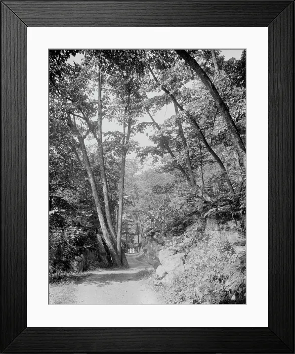 Framed Print : Split Rock Road, Ethan Allen Park, Burlington, Vt. between 1900 and 1920. Creator: Unknown Framed Print : Split Rock Road, Ethan Allen Park, Burlington, Vt. between 1900 and 1920. Creator: Unknown