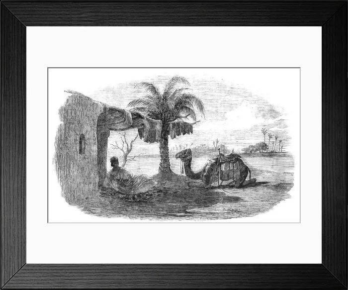 Framed Print : Noonday Shelter, 1857. Creator: Unknown Framed Print : Noonday Shelter, 1857. Creator: Unknown