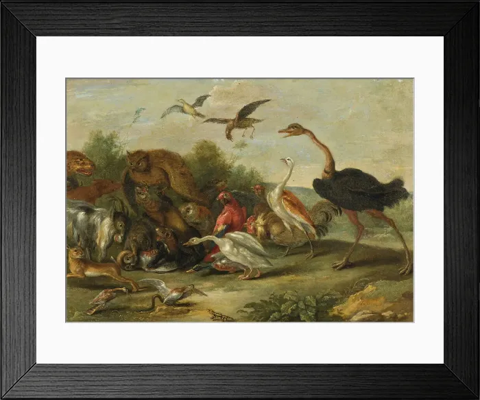 Framed Print : Battle between Owls and Quadrupeds. Creator: Jan van Kessel Framed Print : Battle between Owls and Quadrupeds. Creator: Jan van Kessel