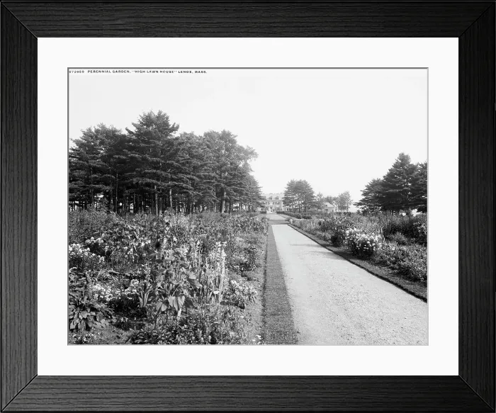 Framed Print : Perennial garden, High Lawn House, Lenox, Mass. between 1900 and 1920. Creator: Unknown Framed Print : Perennial garden, High Lawn House, Lenox, Mass. between 1900 and 1920. Creator: Unknown