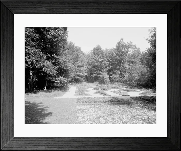 Framed Print : Mrs. Spencer's lady garden, Lenox, Mass. between 1900 and 1920. Creator: Unknown Framed Print : Mrs. Spencer's lady garden, Lenox, Mass. between 1900 and 1920. Creator: Unknown