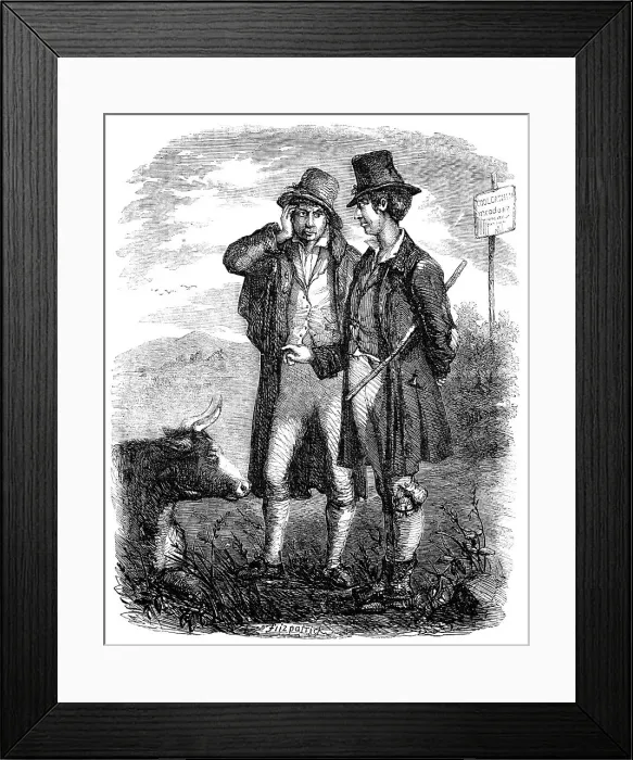 Framed Print : Sketches of Irish Character - The Irish Cow Doctor - drawn by E. Fitzpatrick, 1857. Creator: Unknown. Sketches of Irish Character - The Irish Cow Doctor - drawn by E. Fitzpatrick, 1857. Creator: Unknown Framed Print : Sketches of Irish Character - The Irish Cow Doctor - drawn by E. Fitzpatrick, 1857. Creator: Unknown. Sketches of Irish Character - The Irish Cow Doctor - drawn by E. Fitzpatrick, 1857. Creator: Unknown