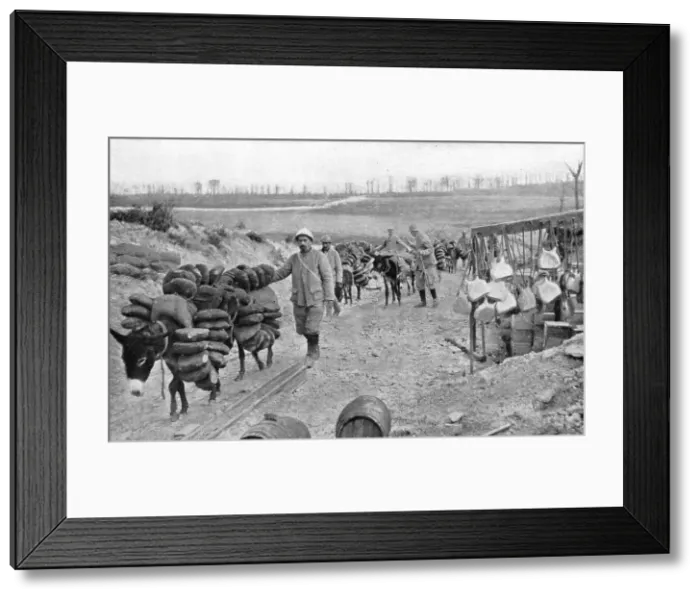 Framed Print : A L'arriere de Verdun; D'utiles auxiliaires a quatre pattes: les petits anes... 1916 (1924) Creator: Unknown Framed Print : A L'arriere de Verdun; D'utiles auxiliaires a quatre pattes: les petits anes... 1916 (1924) Creator: Unknown
