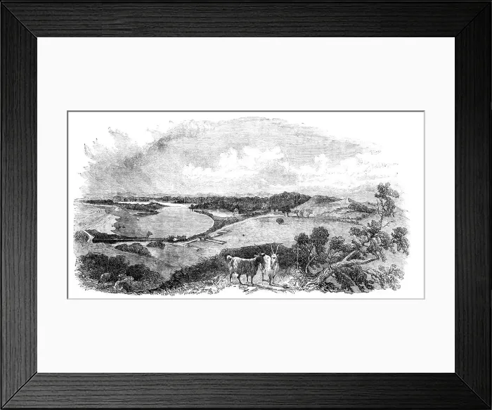 Framed Print : Bunbury, in Western Australia, 1857. Creator: Unknown Framed Print : Bunbury, in Western Australia, 1857. Creator: Unknown