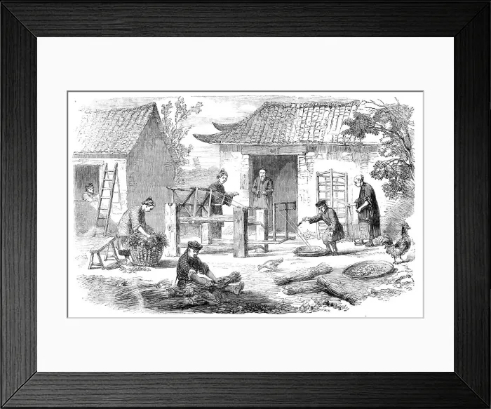 Framed Print : Silk Culture in China: preparing raw silk, 1857. Creator: Unknown Framed Print : Silk Culture in China: preparing raw silk, 1857. Creator: Unknown
