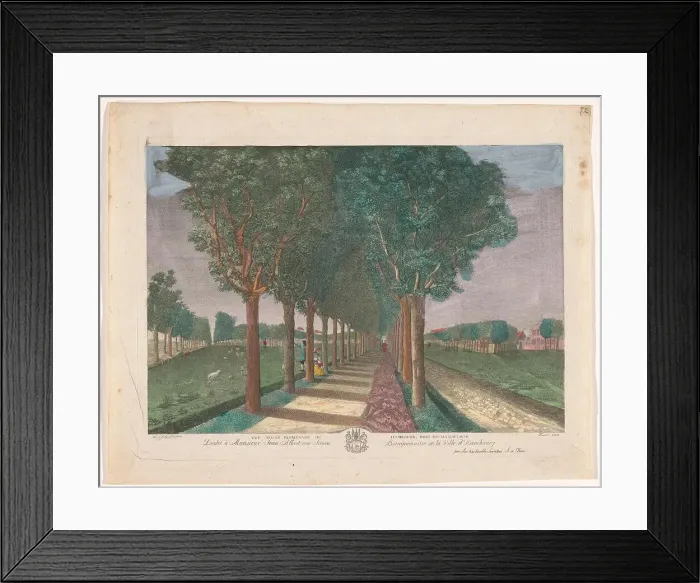 Framed Print : View of a avenue in the vicinity of the Dammtor in Hamburg, 1783. Creator: Anon Framed Print : View of a avenue in the vicinity of the Dammtor in Hamburg, 1783. Creator: Anon