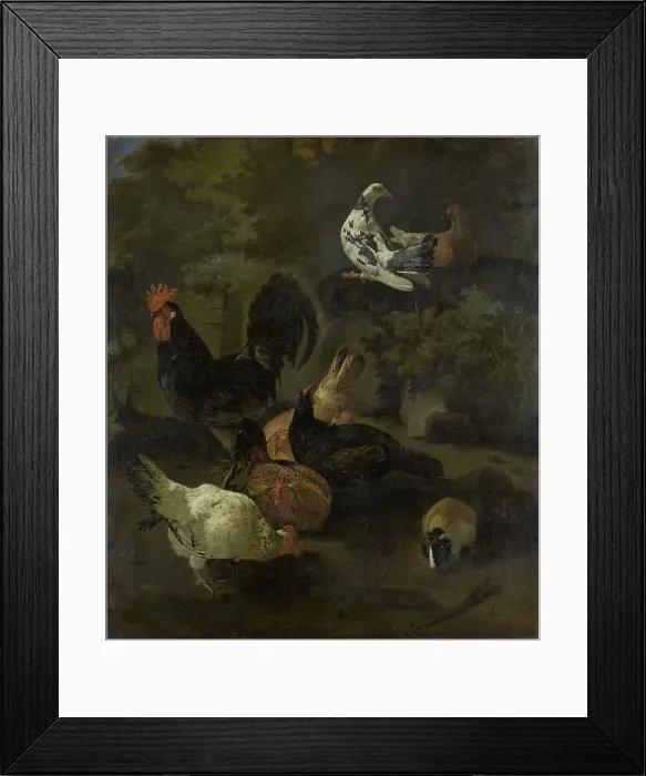 Framed Print : A Cock, Hens, Doves, and a Marmot, 1674. Creator: Jacomo Victors Framed Print : A Cock, Hens, Doves, and a Marmot, 1674. Creator: Jacomo Victors