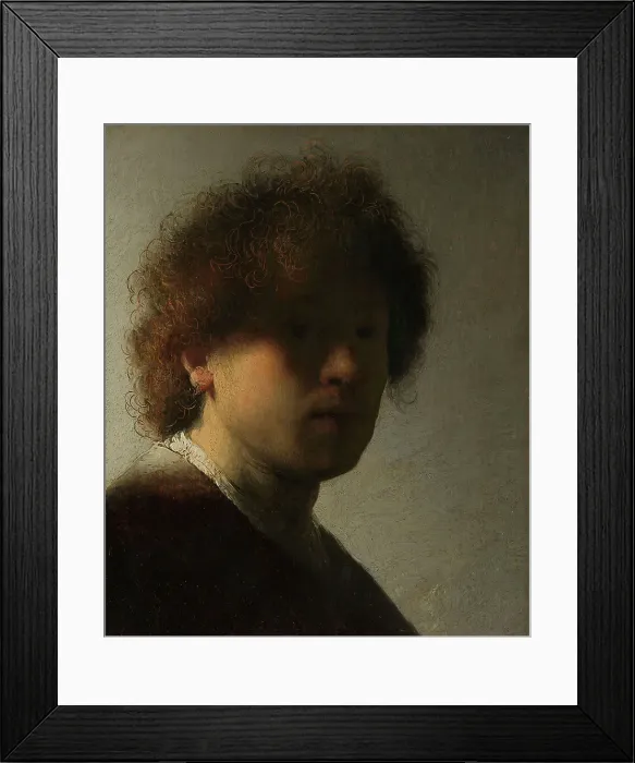 Framed Print : Self-portrait, c.1628. Creator: Rembrandt Harmensz van Rijn Framed Print : Self-portrait, c.1628. Creator: Rembrandt Harmensz van Rijn
