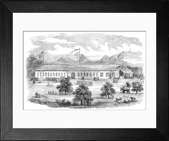 Framed Print : The Industrial and Agricultural Exhibition at Coimbatore, Madras Presidency, 1857. Creator: Unknown