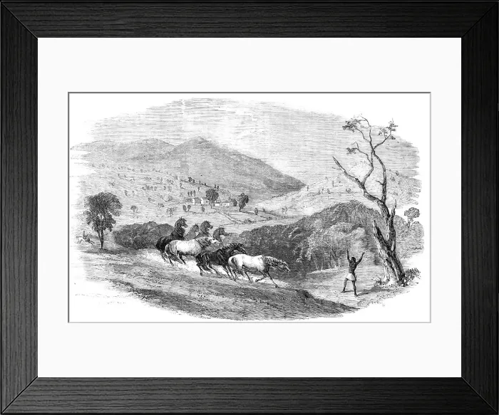 Framed Print : Sketches in Western Australia - Culham, in the Upper Valley of the Swan, 1857. Creator: Unknown Framed Print : Sketches in Western Australia - Culham, in the Upper Valley of the Swan, 1857. Creator: Unknown