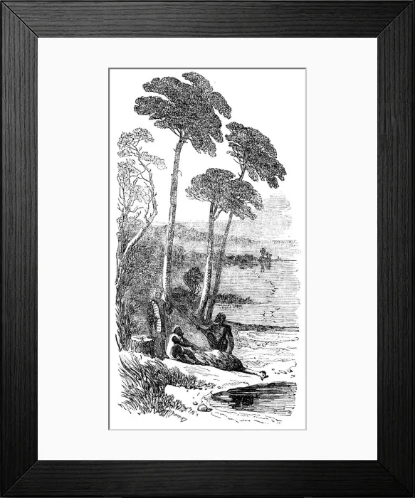 Framed Print : Sketches in Southern Australia - the Dead Emu, 1857. Creator: Unknown Framed Print : Sketches in Southern Australia - the Dead Emu, 1857. Creator: Unknown
