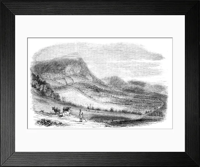 Framed Print : View on a Cocoa Plantation in the Island of Granada, 1857. Creator: Unknown