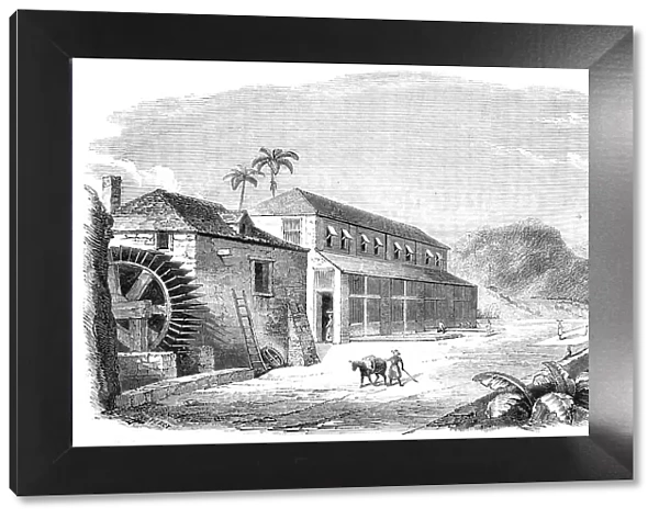 A Bocan, or Cocoa-Drying House in Granada, 1857. Creator: Percy