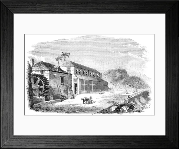 Framed Print : A Bocan, or Cocoa-Drying House in Granada, 1857. Creator: Percy Framed Print : A Bocan, or Cocoa-Drying House in Granada, 1857. Creator: Percy