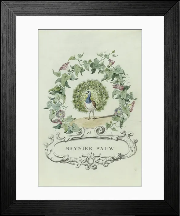 Framed Print : Cartoon of Reynier Pauw, 1710-1720. Creator: Anon Framed Print : Cartoon of Reynier Pauw, 1710-1720. Creator: Anon