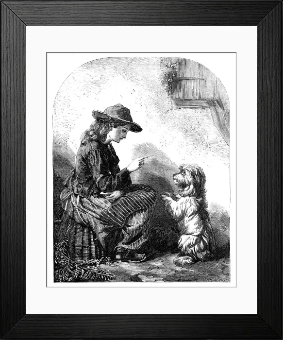 Framed Print : Beg, Sir! - painted by Cobbett, from the Exhibition of the Society of British Artists, 1857. Creator: Harvey Orrin Smith. Beg, Sir! - painted by Cobbett, from the Exhibition of the Society of British Artists, 1857 Framed Print : Beg, Sir! - painted by Cobbett, from the Exhibition of the Society of British Artists, 1857. Creator: Harvey Orrin Smith. Beg, Sir! - painted by Cobbett, from the Exhibition of the Society of British Artists, 1857