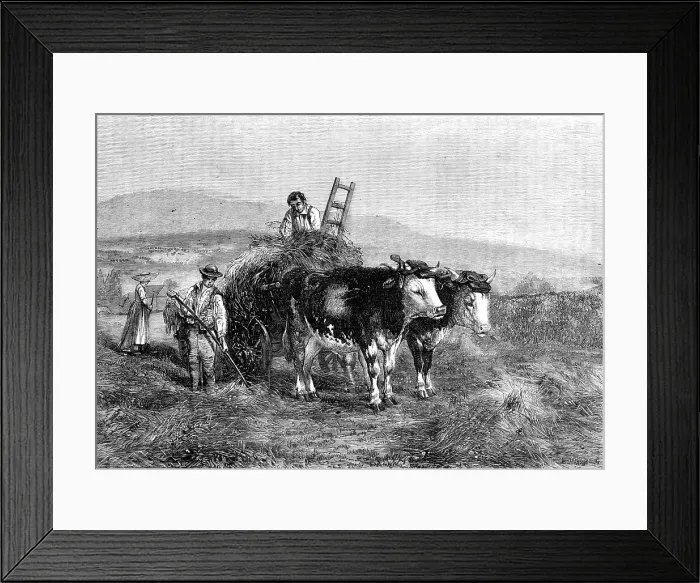 Framed Print : Haymaking in Switzerland - painted by H. Moore, from the Exhibition of the National... 1857. Creator: M. Jackson. Haymaking in Switzerland - painted by H. Moore, from the Exhibition of the National... 1857. Creator: M. Jackson