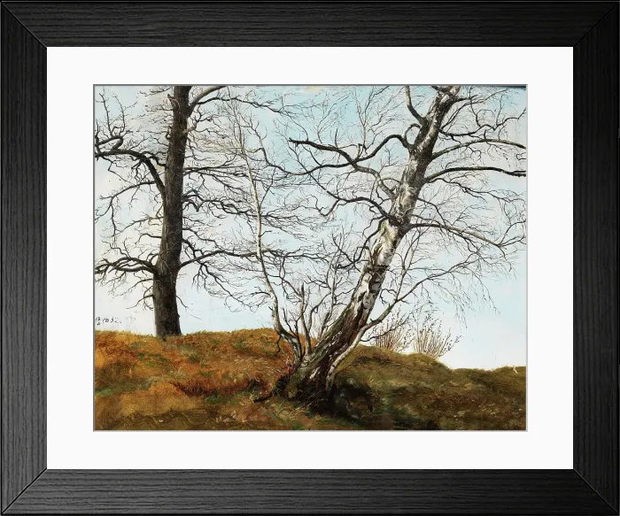 Framed Print : Oak and birch. Our.1832. Creator: Julius von Leypold Framed Print : Oak and birch. Our.1832. Creator: Julius von Leypold