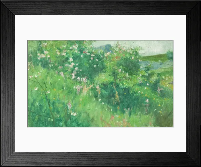 Framed Print : Briar-Rose Bushes Flowering on the Isle of Tjörn. Creator: Karl Nordström Framed Print : Briar-Rose Bushes Flowering on the Isle of Tjörn. Creator: Karl Nordström