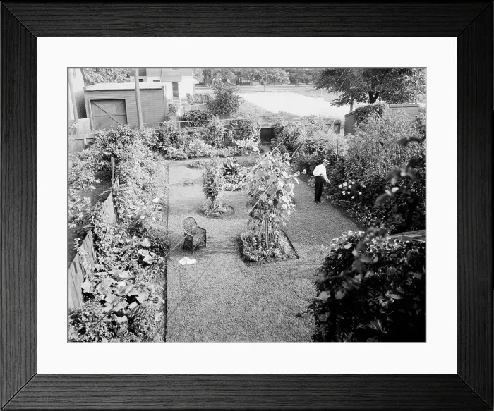 Framed Print : Garden at 124 E. Euclid Avenue, Detroit, Mich. between 1905 and 1915. Creator: Unknown Framed Print : Garden at 124 E. Euclid Avenue, Detroit, Mich. between 1905 and 1915. Creator: Unknown