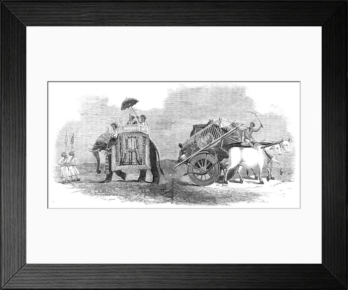Framed Print : Harbee Nawab and Attendants - Elephant Prince; Bullock Cart for Removing Luggage, 1857. Creator: Unknown Framed Print : Harbee Nawab and Attendants - Elephant Prince; Bullock Cart for Removing Luggage, 1857. Creator: Unknown