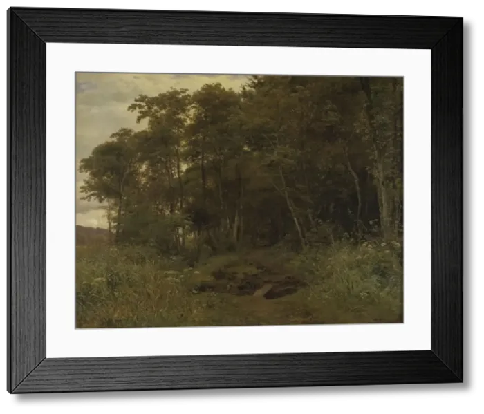 Framed Print : Thicket of alder trees, 1861. Creator: Anton Eduard Kieldrup Framed Print : Thicket of alder trees, 1861. Creator: Anton Eduard Kieldrup