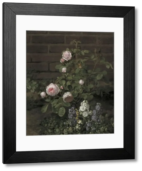 Framed Print : A Moss Rose Tree Sourrounded by Summer Flowers, 1864. Creator: Otto Didrik Ottesen Framed Print : A Moss Rose Tree Sourrounded by Summer Flowers, 1864. Creator: Otto Didrik Ottesen