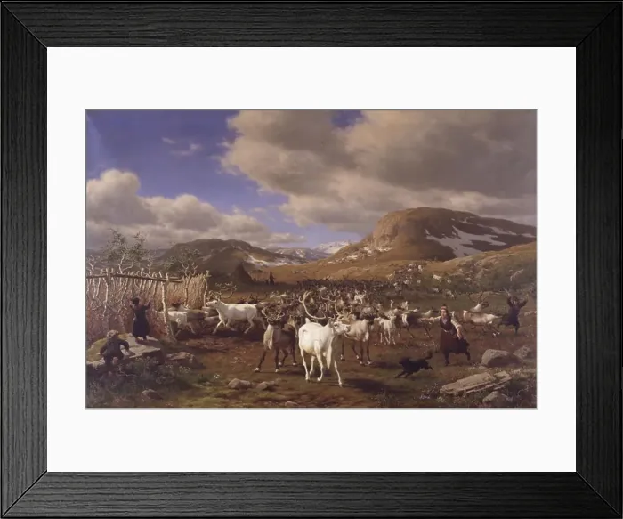 Framed Print : Driving a reindeer herd to milking, high mountains north of Roros, 1875. Creator: Carl Henrik Bogh