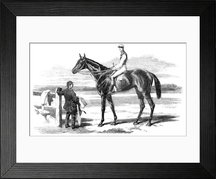 Framed Print : The Celebrated Race-Horse Fisherman, 1857. Creator: Unknown. The Celebrated Race-Horse Fisherman, 1857. Creator: Unknown Framed Print : The Celebrated Race-Horse Fisherman, 1857. Creator: Unknown. The Celebrated Race-Horse Fisherman, 1857. Creator: Unknown
