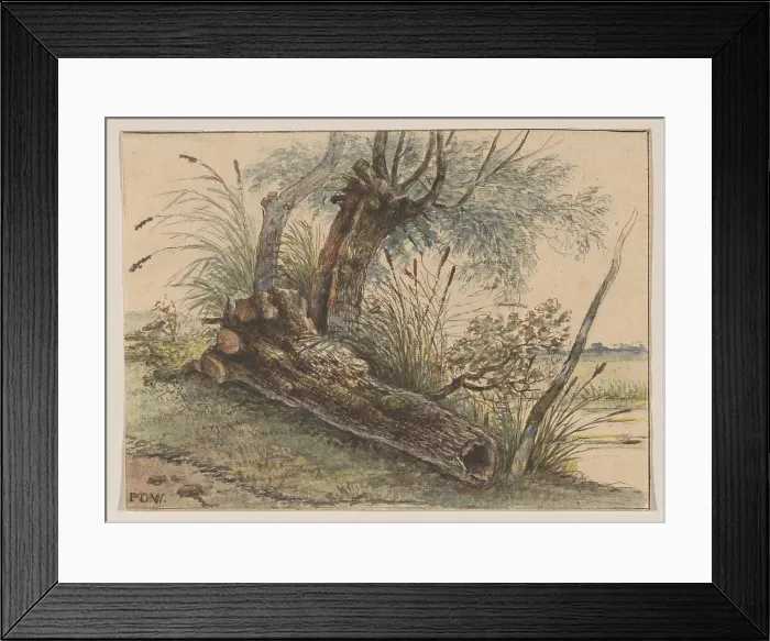 Framed Print : Tree stump in the reeds, 1801-1873. Creator: George Pieter Westenberg Framed Print : Tree stump in the reeds, 1801-1873. Creator: George Pieter Westenberg