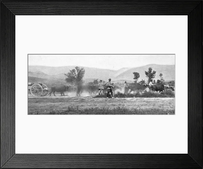Framed Print : Autour de la bataille du Kaimaktchalan; le transport de l'artillerie lourde sur le front de Macedoi Creator: Vladimir Betzitch Framed Print : Autour de la bataille du Kaimaktchalan; le transport de l'artillerie lourde sur le front de Macedoi Creator: Vladimir Betzitch