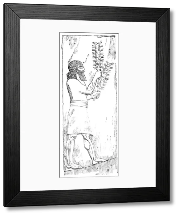 Framed Print : The British Museum - Nineveh Sculptures: Locust-bearer, 1857. Creator: Unknown Framed Print : The British Museum - Nineveh Sculptures: Locust-bearer, 1857. Creator: Unknown