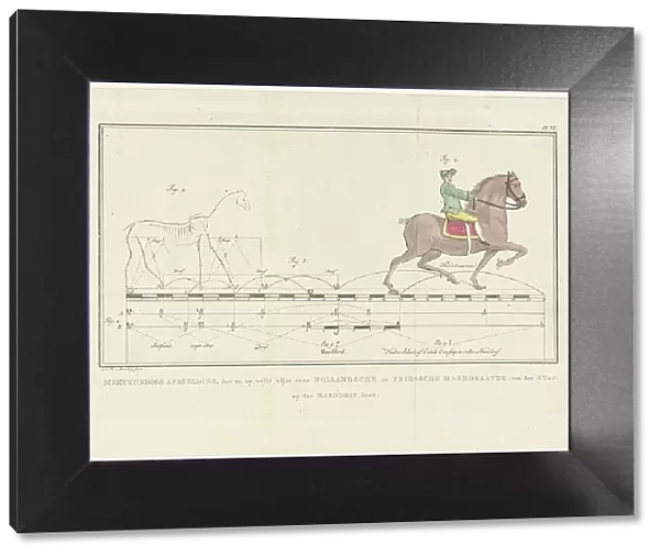Movement of a horse from walking to trotting, with scale showing distances, 1739-1812. Creator: Johannes le Francq van Berkhey