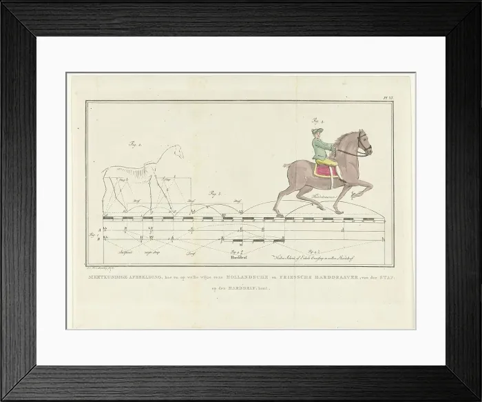 Framed Print : Movement of a horse from walking to trotting, with scale showing distances, 1739-1812. Creator: Johannes le Francq van Berkhey Framed Print : Movement of a horse from walking to trotting, with scale showing distances, 1739-1812. Creator: Johannes le Francq van Berkhey