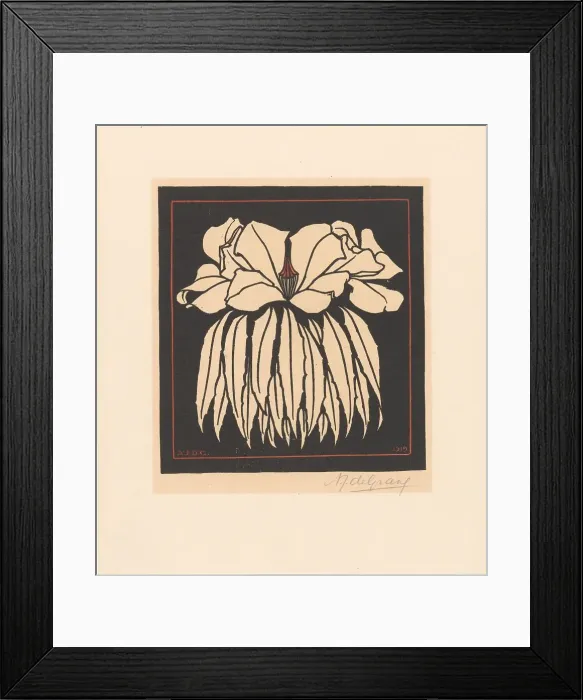 Framed Print : Godetia, 1919. Creator: Julie de Graag Framed Print : Godetia, 1919. Creator: Julie de Graag