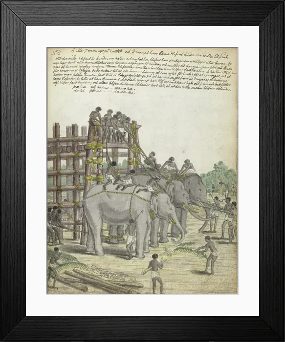 Framed Print : A Bound Elephant being led from the Last Section of the trap, the Prison Corral, 1785. Creator: Jan Brandes Framed Print : A Bound Elephant being led from the Last Section of the trap, the Prison Corral, 1785. Creator: Jan Brandes