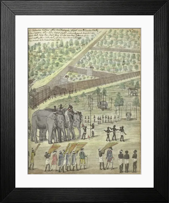 Framed Print : Baptizing an elephant, 1785. Creator: Jan Brandes Framed Print : Baptizing an elephant, 1785. Creator: Jan Brandes