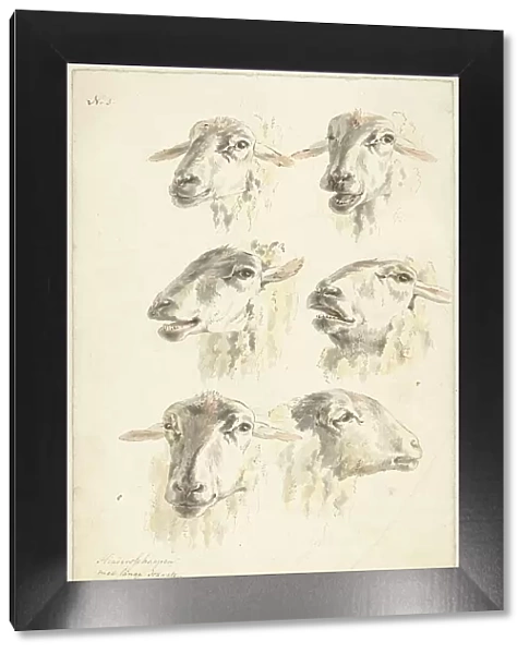 Six studies of sheep heads, 1800. Creator: Franciscus Andreas Milatz