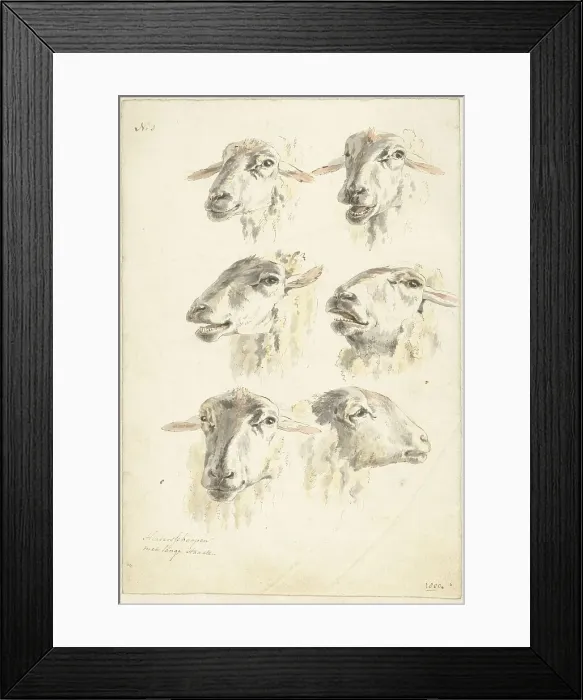 Framed Print : Six studies of sheep heads, 1800. Creator: Franciscus Andreas Milatz Framed Print : Six studies of sheep heads, 1800. Creator: Franciscus Andreas Milatz