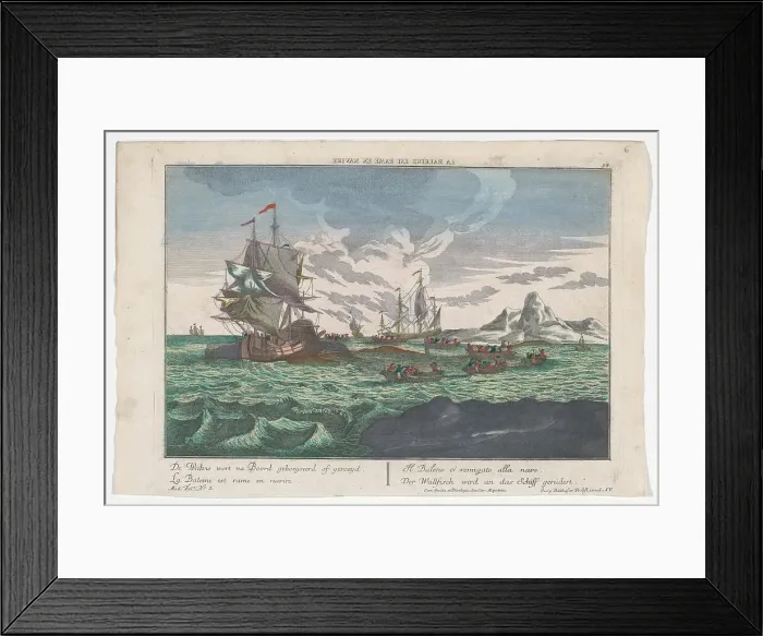 Framed Print : Whaling, 1742-1801. Creator: Anon Framed Print : Whaling, 1742-1801. Creator: Anon