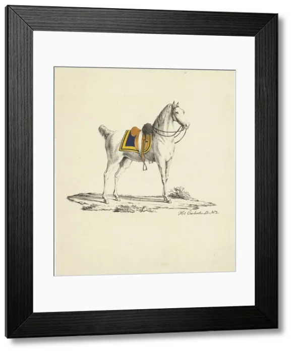 Framed Print : Horse with saddle and bridle, 1809-1854. Creator: Hermanus Carbentus Framed Print : Horse with saddle and bridle, 1809-1854. Creator: Hermanus Carbentus