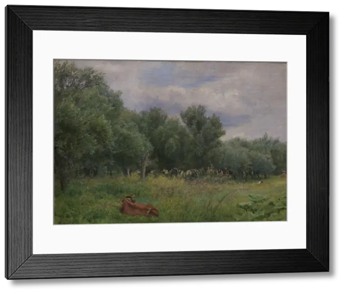 Framed Print : Willows at the edge of a meadow near Nyso, 1897. Creator: Niels Skovgaard Framed Print : Willows at the edge of a meadow near Nyso, 1897. Creator: Niels Skovgaard